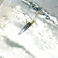 Click here to enlarge